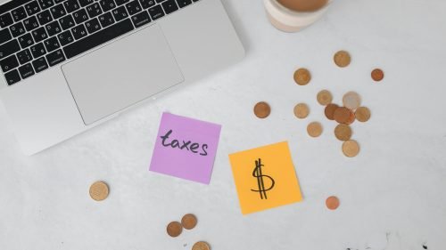 pexels-polina-tankilevitch-6927388 pexels-polina-tankilevitch-6927388